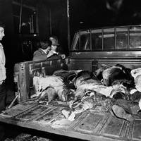 VICTIMS OF THE ATTACK