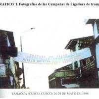 CAMPAÑA DE LIGADURA DE TROMPAS. Yanaoca, Cusco