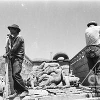 Transfer of bodies found in the Pucayacu mass graves