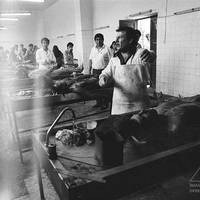 Victims of "Operation Mudanza Uno"